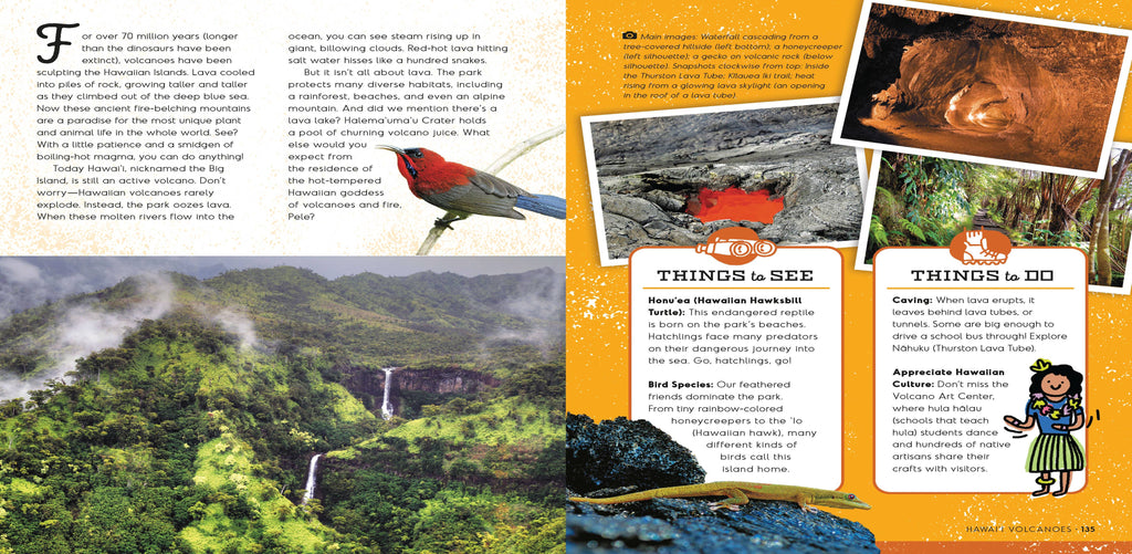 America's National Parks: Hardcover