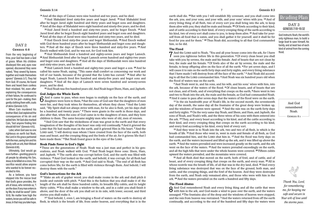 The Hope & Healing Devotional Bible [Dark Sage Doves]