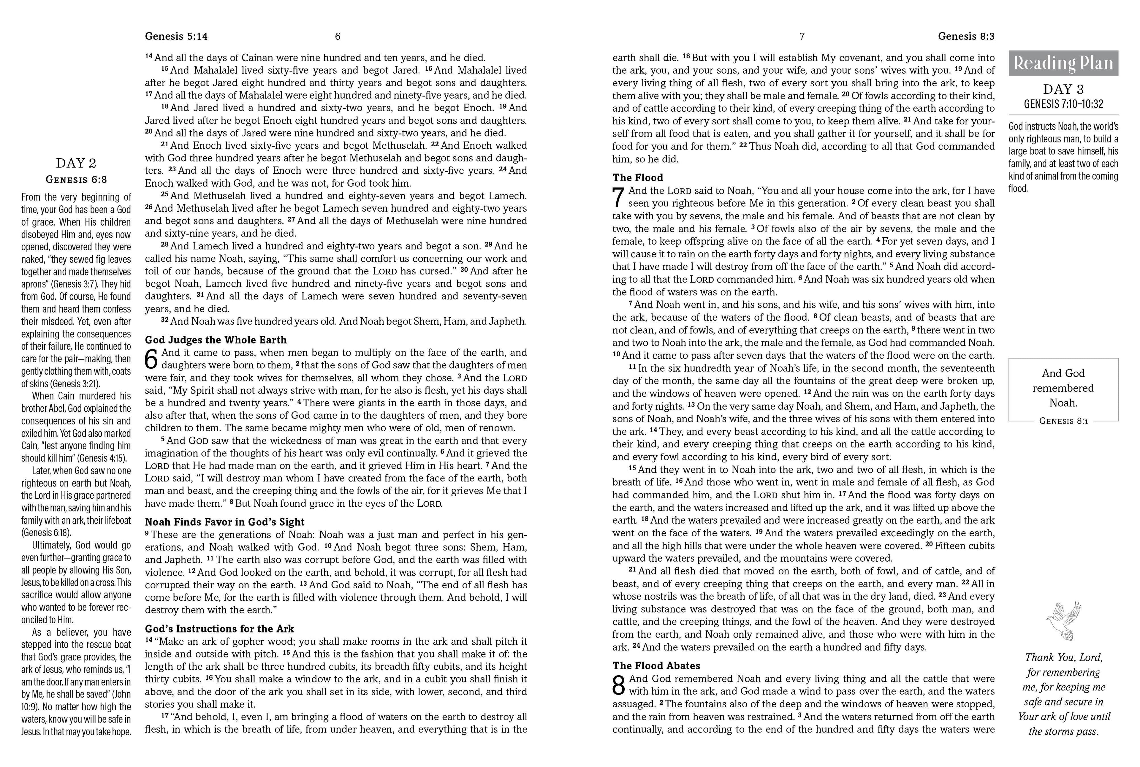 The Hope & Healing Devotional Bible [Dark Sage Doves]