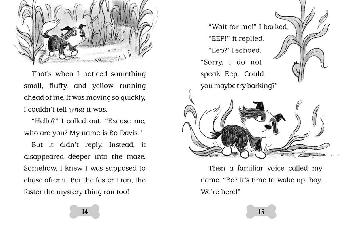 This Little Pup Went to the Market by Cam Higgins: Paperback; 128 pages / English