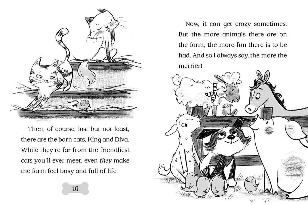 Barnyard Buddies by Cam Higgins: Paperback; 128 pages / English