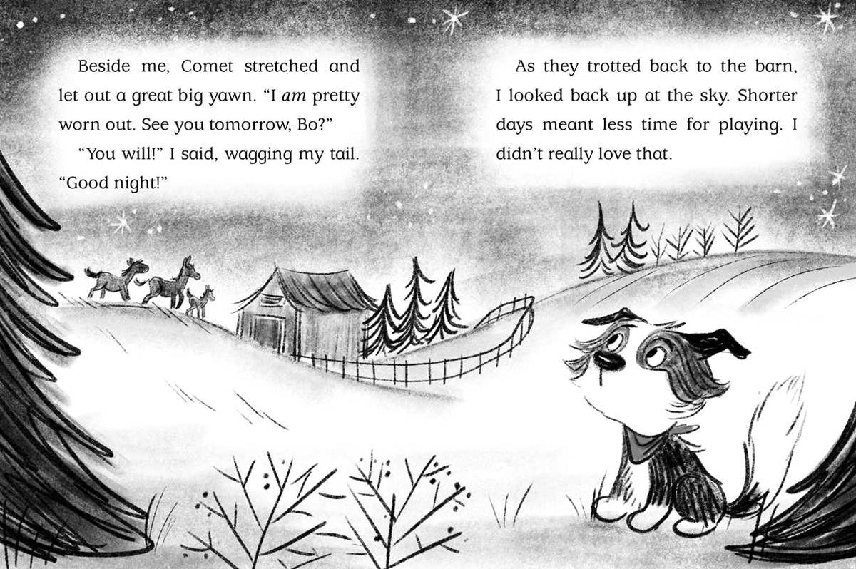 Snow Show by Cam Higgins: Hardcover; 128 pages / English