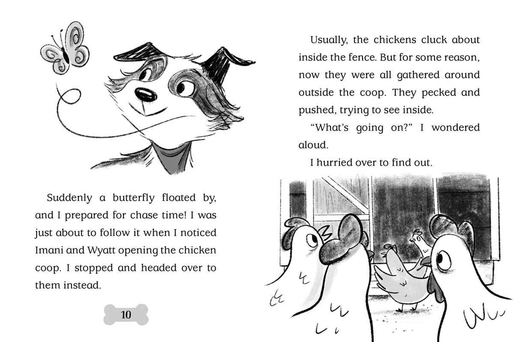 Bo Hatches a Plan by Cam Higgins: Hardcover; 128 pages / English
