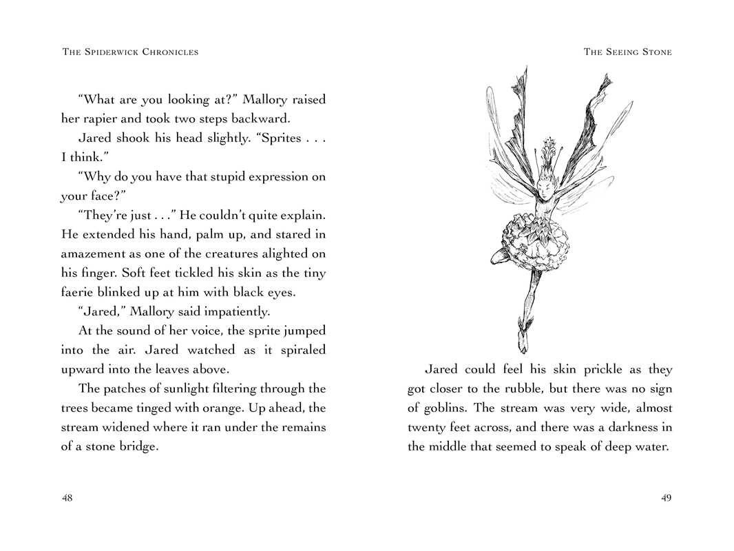 Seeing Stone by Tony DiTerlizzi: Paperback; 144 pages / English
