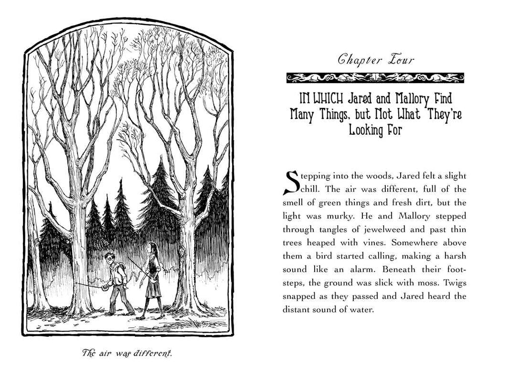 Seeing Stone by Tony DiTerlizzi: Paper Over Board; 128 pages / English