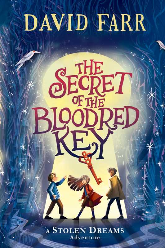 Secret of the Bloodred Key by David Farr: Paperback; 336 pages / English