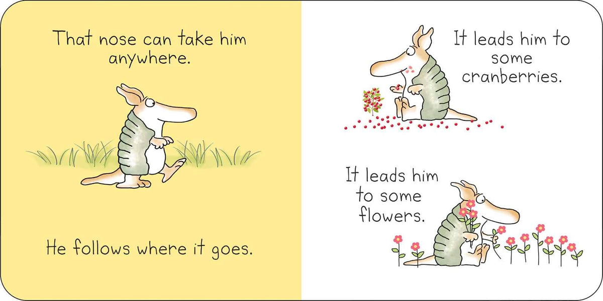 But Not the Armadillo by Sandra Boynton: Board Books; 16 pages / English