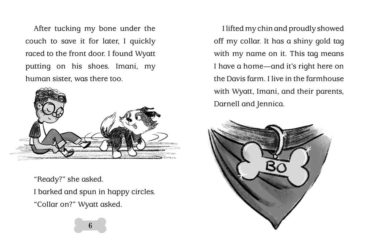Bo Hatches a Plan by Cam Higgins: Paperback; 128 pages / English