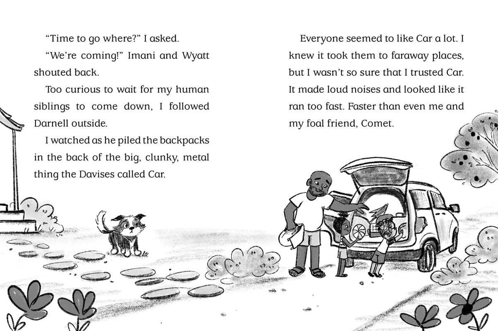 Beach Paws by Cam Higgins: Paperback; 128 pages / English