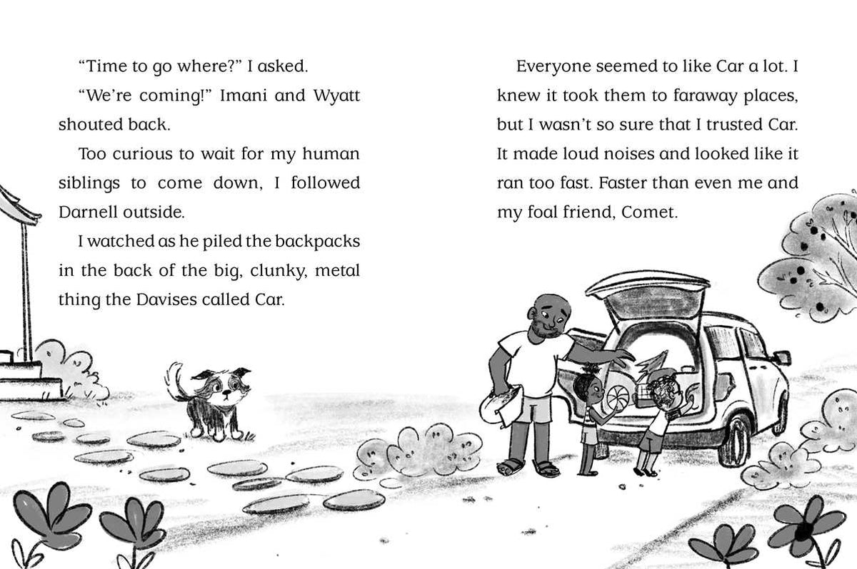Beach Paws by Cam Higgins: Paperback; 128 pages / English