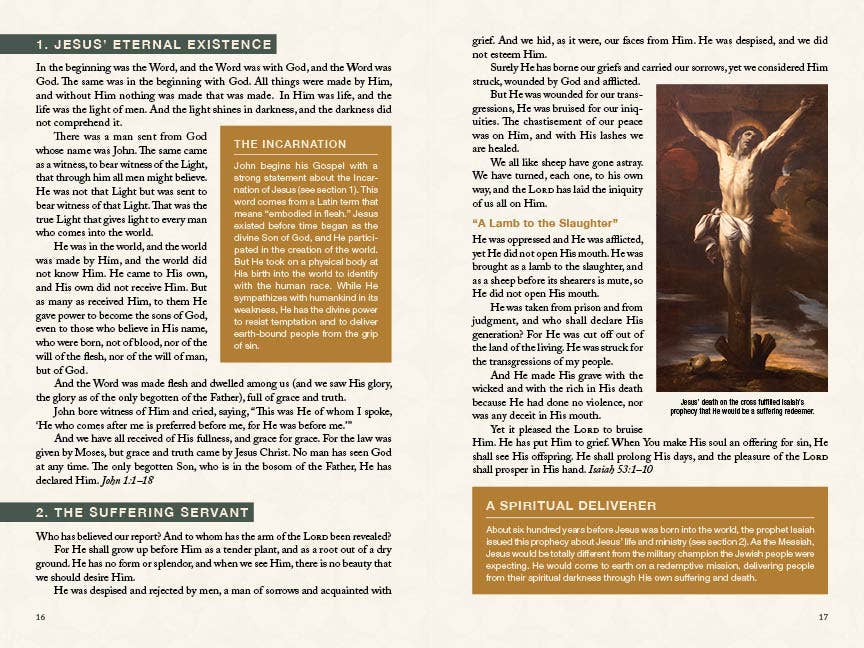 Jesus, a Life in Pictures