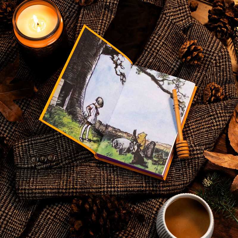 House at Pooh Corner by A. A. Milne: Flexibound; 300 pages / English