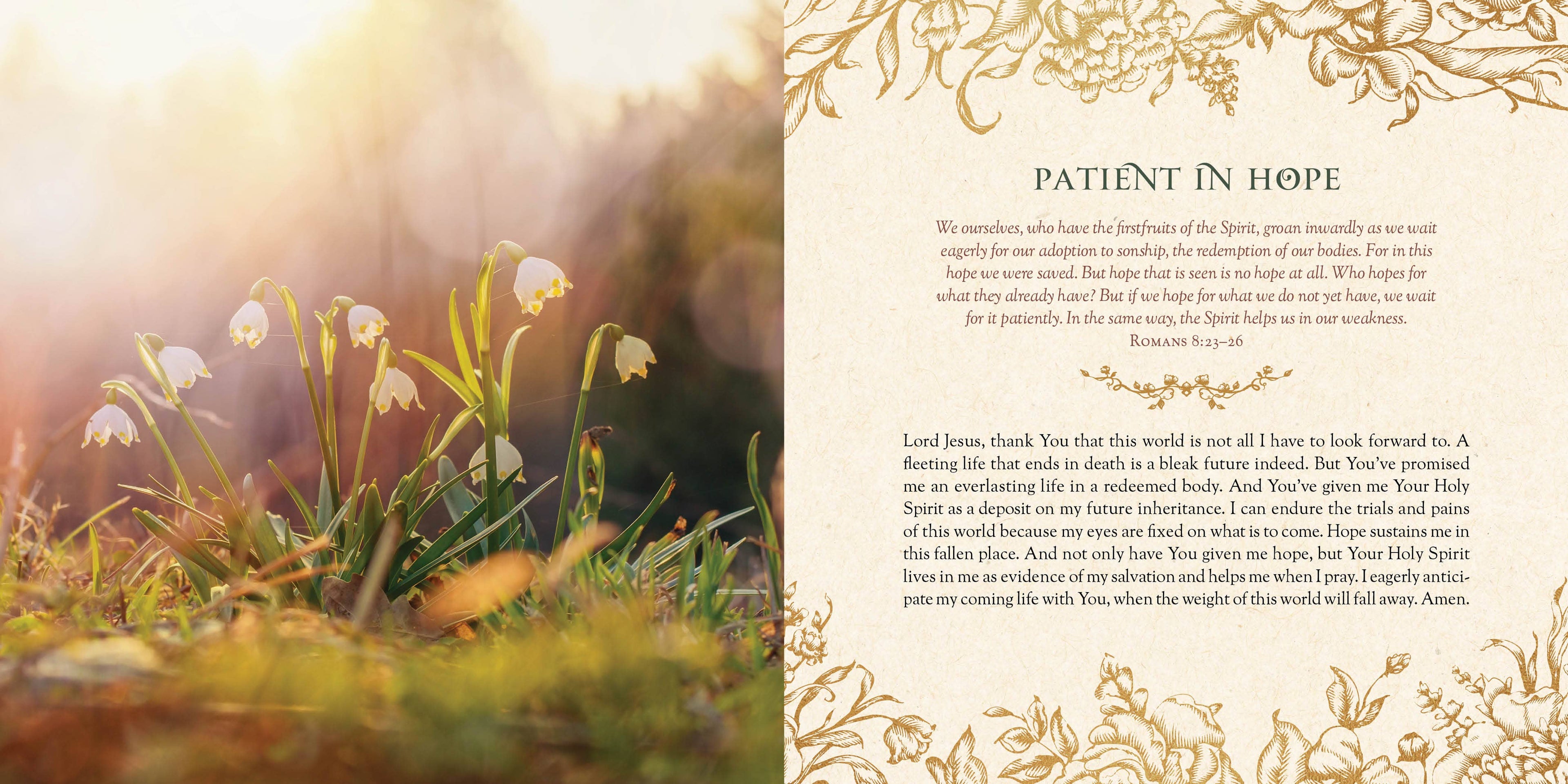 Filled with Hope Devotions and Prayers