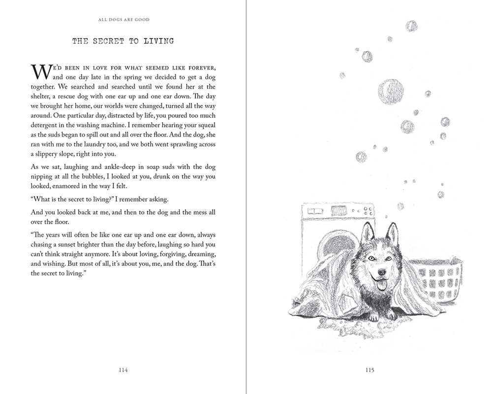 All Dogs Are Good by Courtney Peppernell: Paperback; 160 pages / English