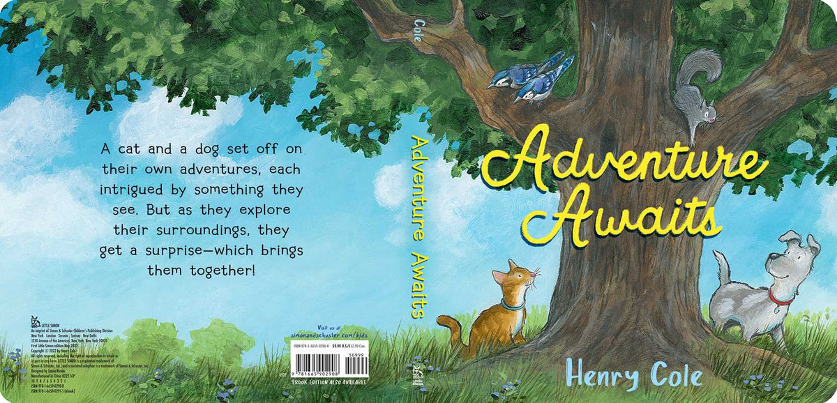 Adventure Awaits by Henry   Cole: Board Books; 26 pages / English