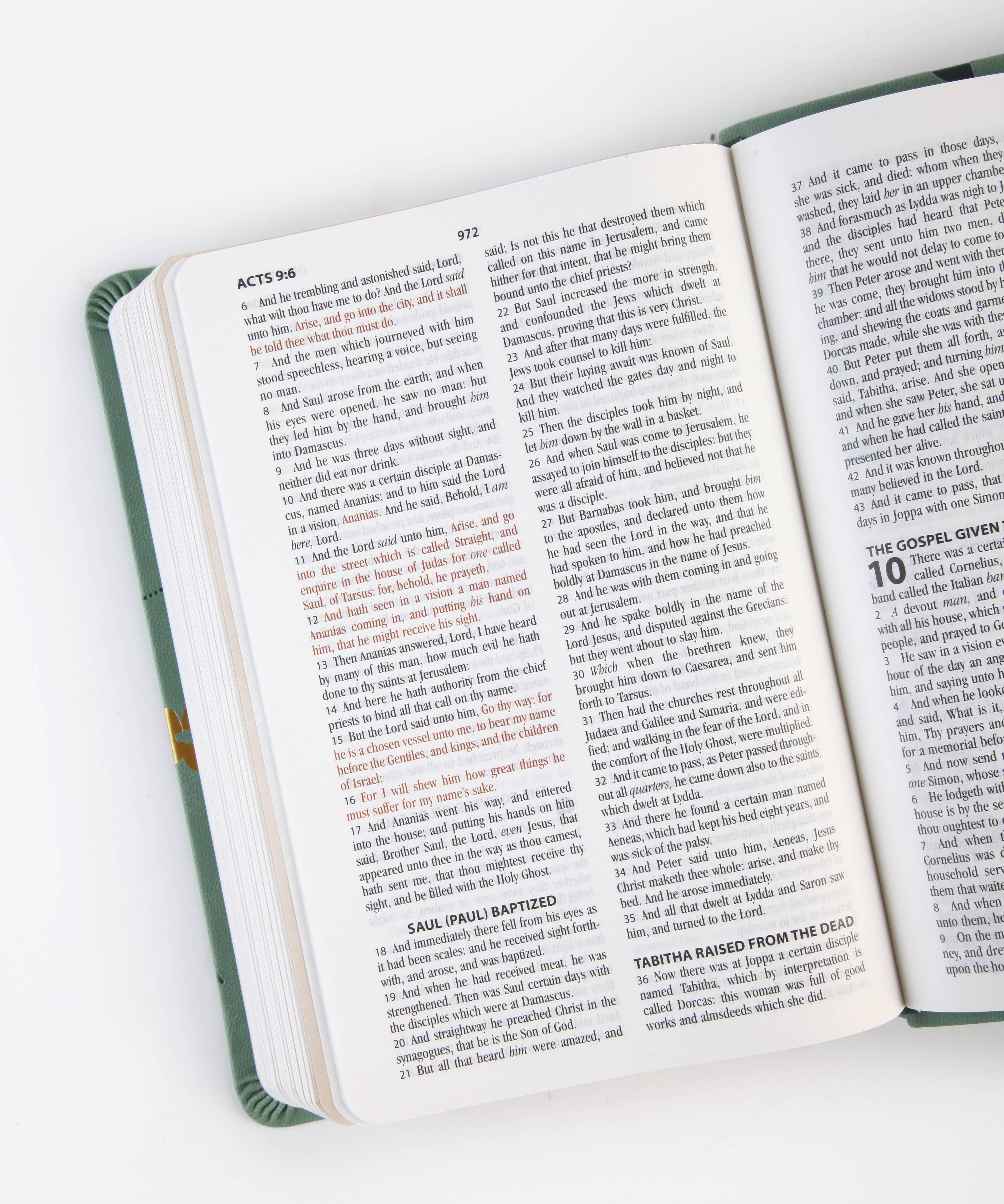 The Holy Bible KJV: Prayer Map Edition