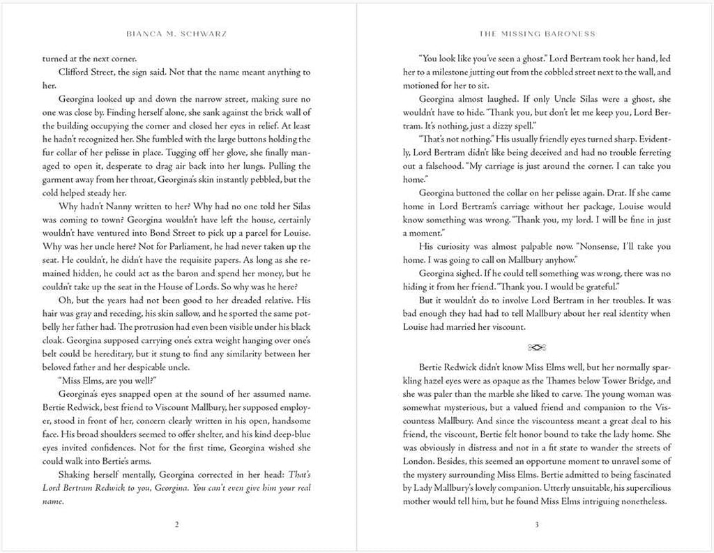 Missing Baroness by Bianca  M. Schwarz: Paperback; 256 pages / English
