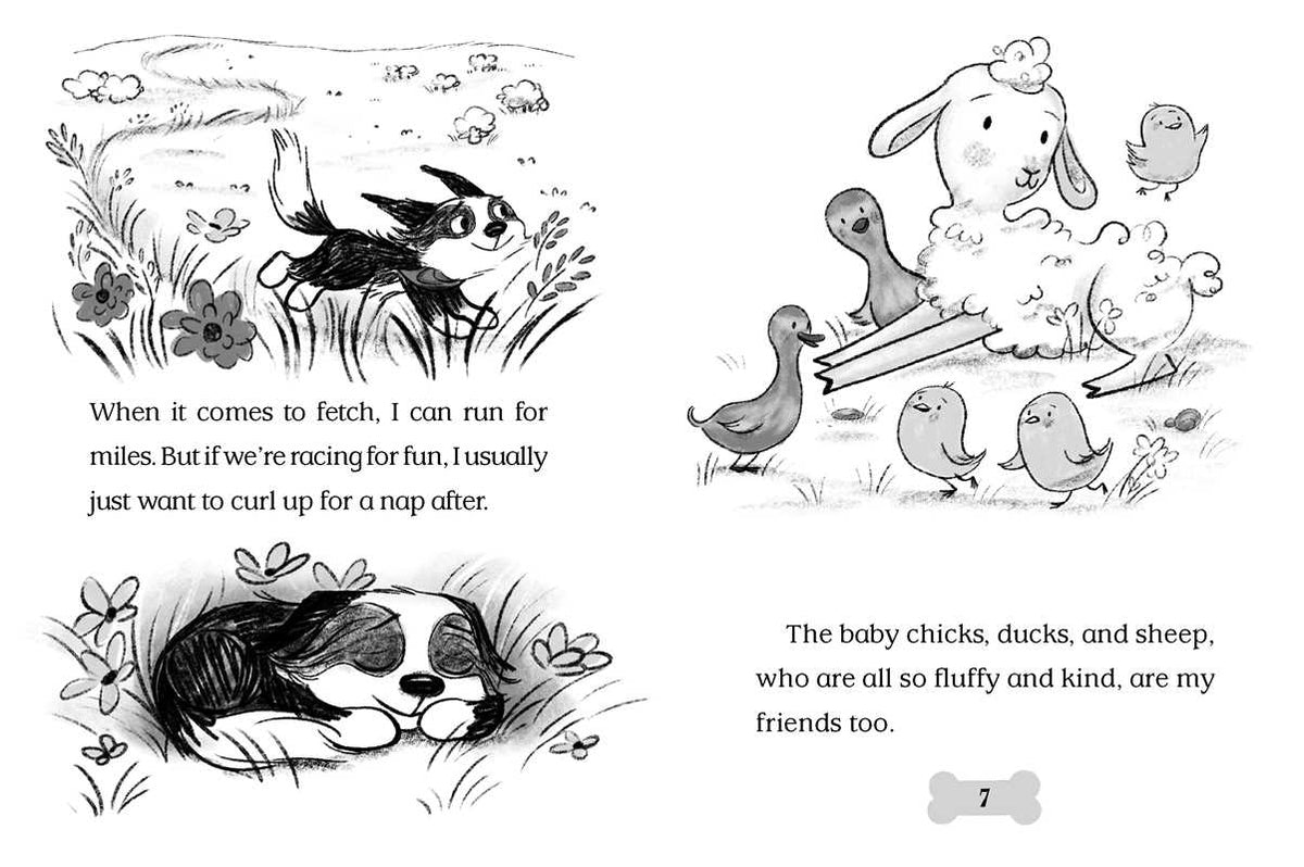 Barnyard Buddies by Cam Higgins: Paperback; 128 pages / English