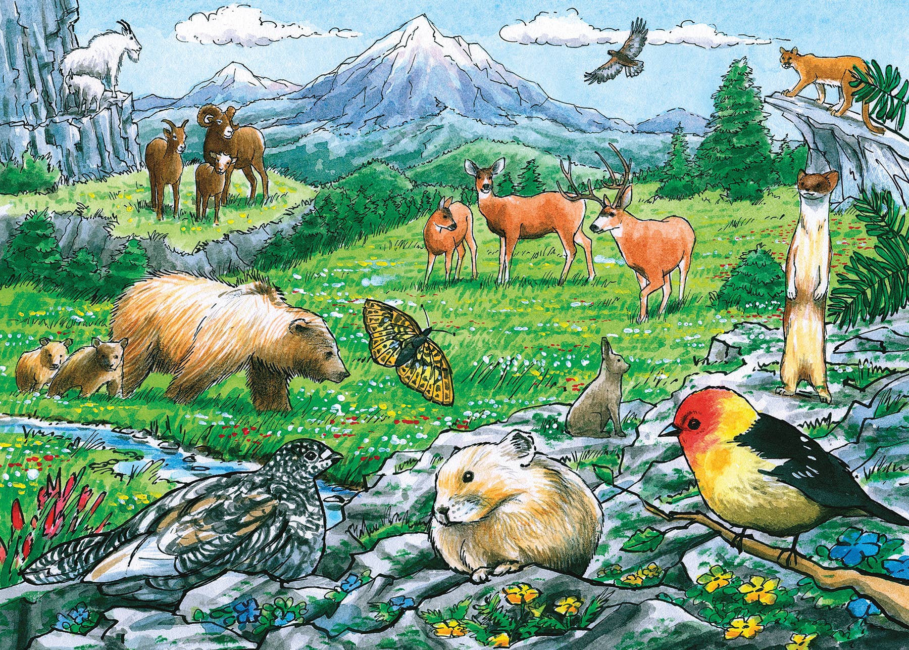 Rocky Mountain Wildlife (Tray) 35pc puzzle