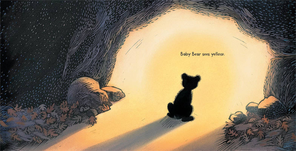 Baby Bear Sees Blue by Ashley Wolff: Board Books; 42 pages / English