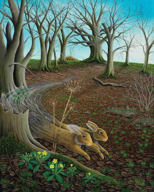 Watership Down by Richard   Adams: Paper Over Board; 496 pages / English