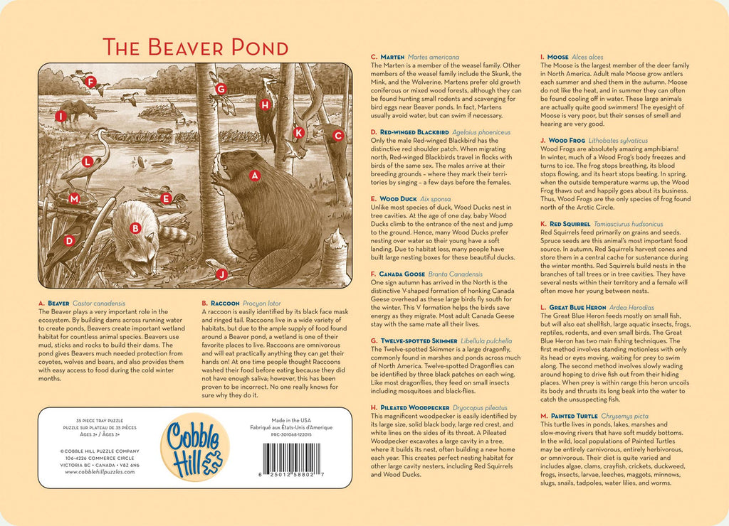 The Beaver Pond (Tray) 35pc puzzle