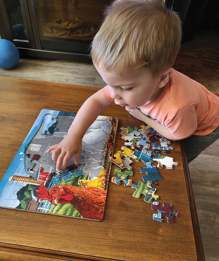 Dwight's Ducks (tray) 35pc puzzle