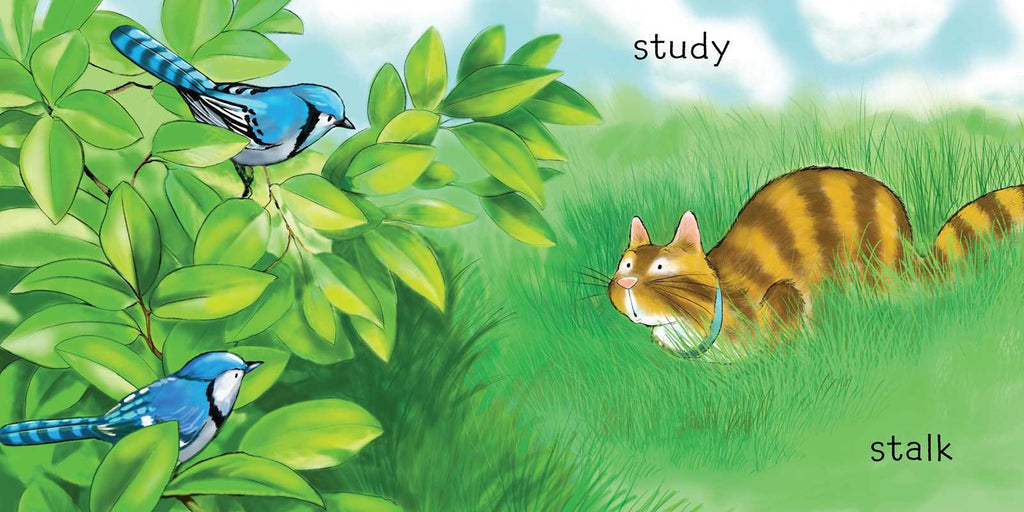 Adventure Awaits by Henry   Cole: Board Books; 26 pages / English