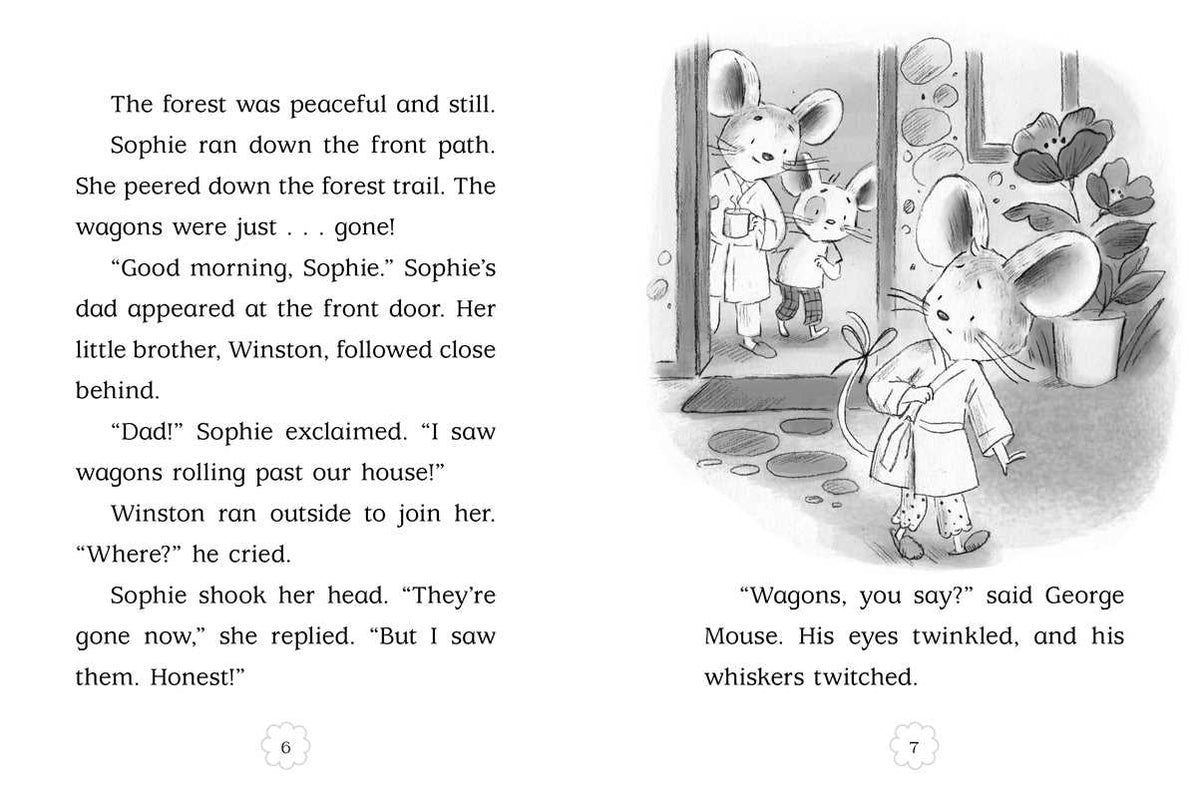 Lightning Bug Light Show by Poppy Green: Paperback; 128 pages / English