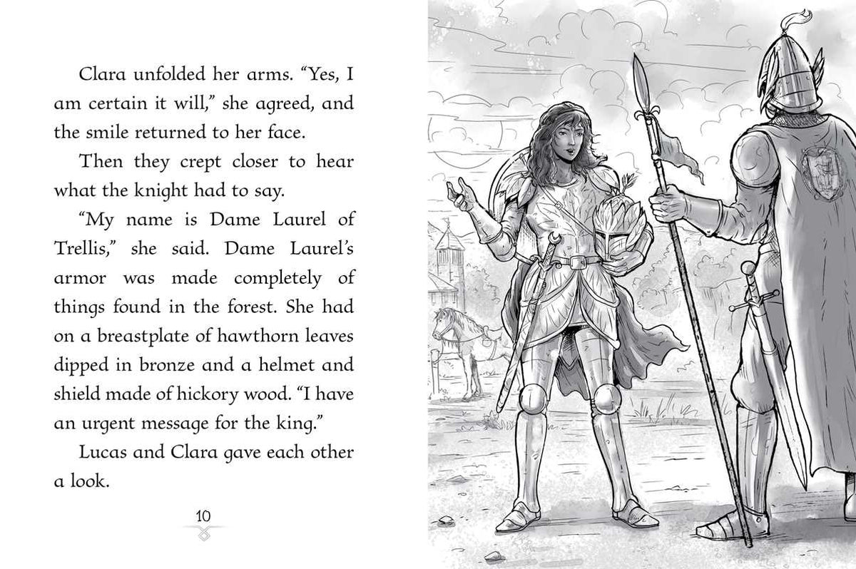 Sorcerer's Shadow by Jordan Quinn: Paperback; 128 pages / English