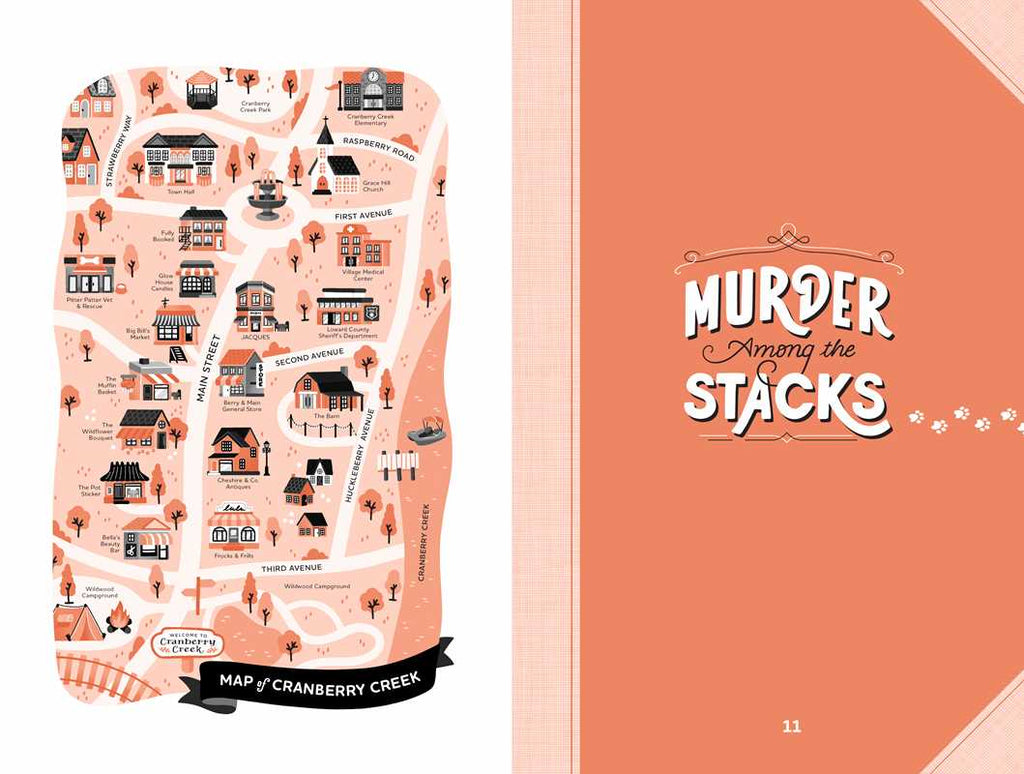 Murder Among the Stacks: Book 1 by Rosie A. Point: Paperback; 128 pages / English
