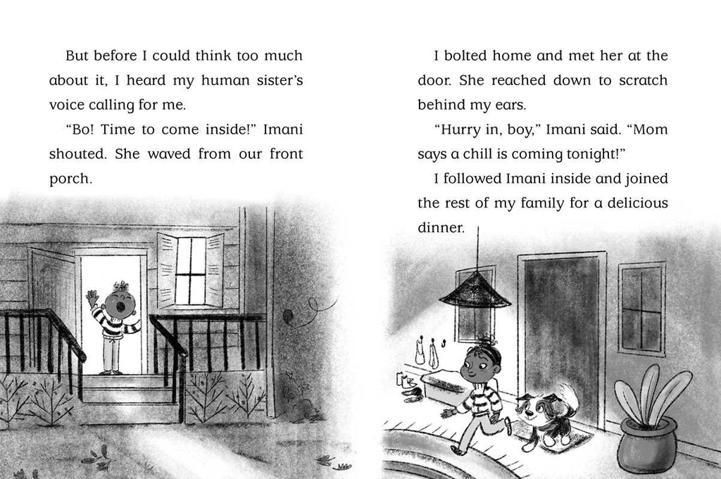 Snow Show by Cam Higgins: Paperback; 128 pages / English