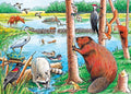 The Beaver Pond (Tray) 35pc puzzle