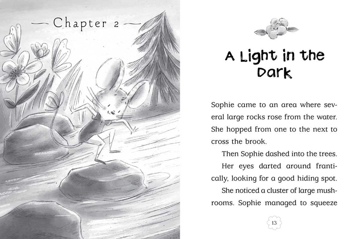 Journey to the Crystal Cave by Poppy Green: Paperback; 128 pages / English