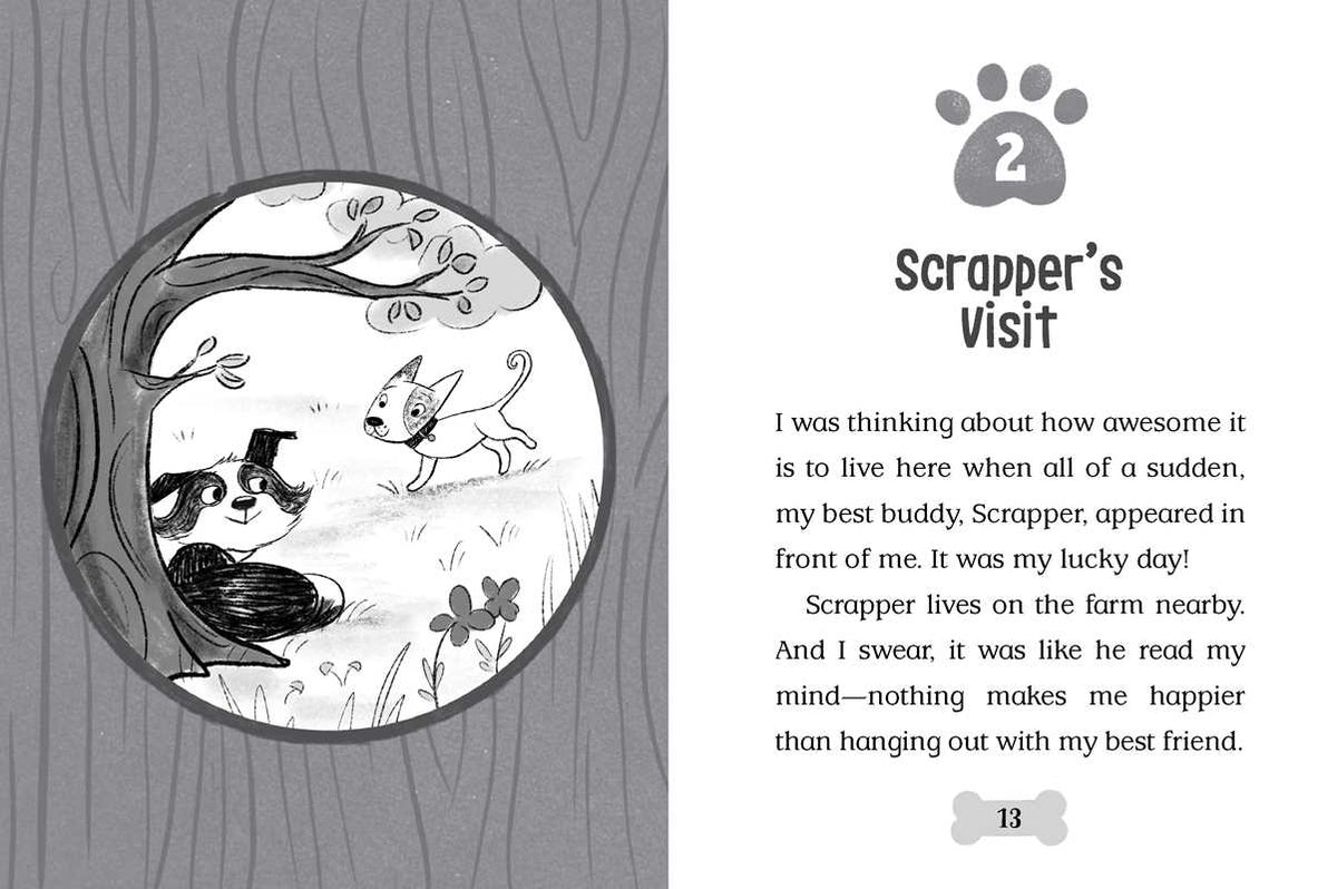 Barnyard Buddies by Cam Higgins: Hardcover; 128 pages / English
