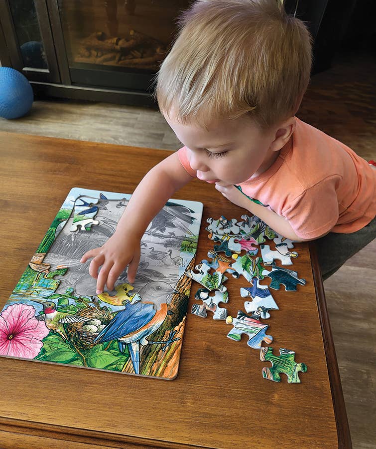 North American Birds (tray) 35pc puzzle