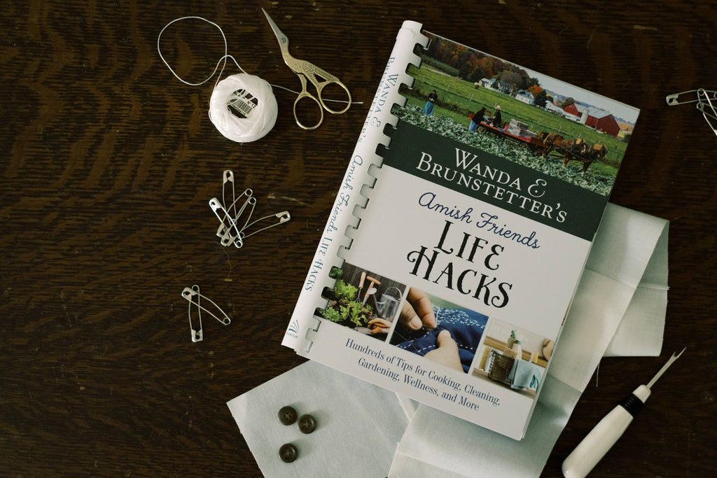 Wanda E. Brunstetter's Amish Friends Life Hacks