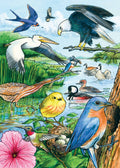 North American Birds (tray) 35pc puzzle