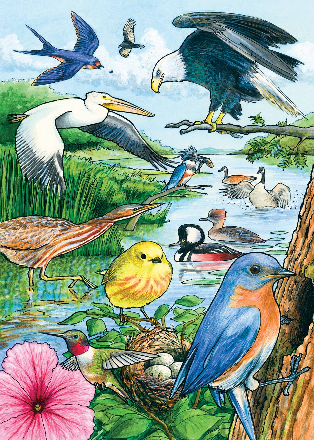 North American Birds (tray) 35pc puzzle