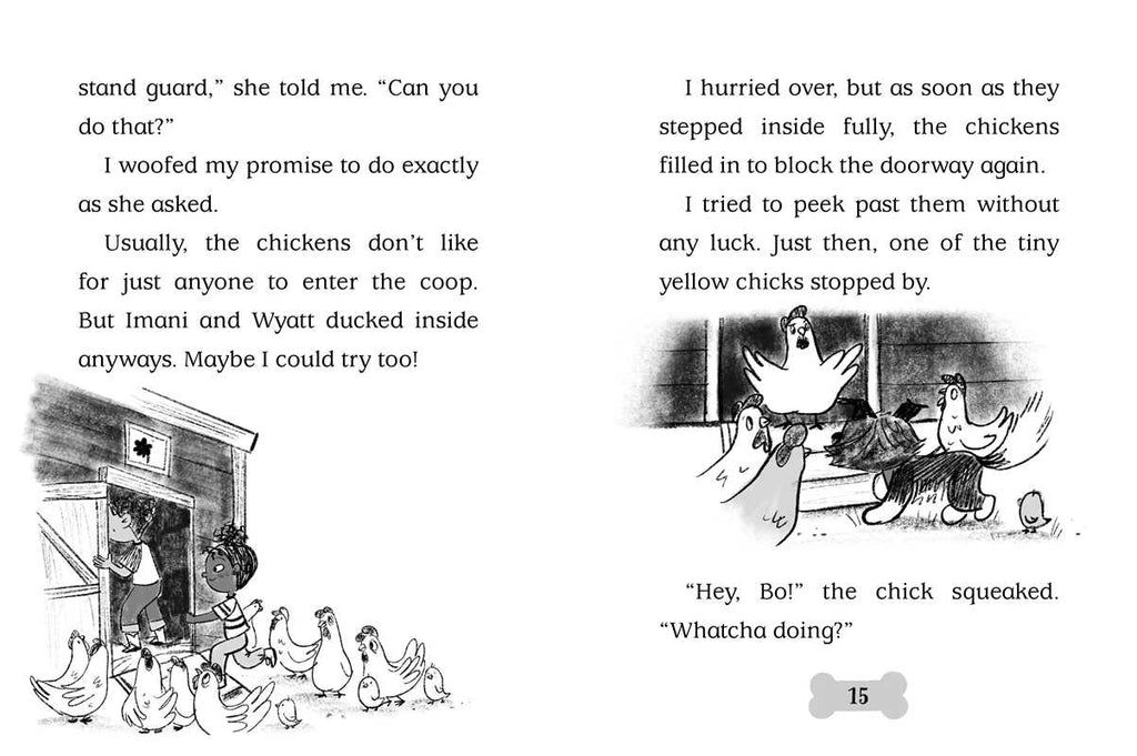 Bo Hatches a Plan by Cam Higgins: Paperback; 128 pages / English