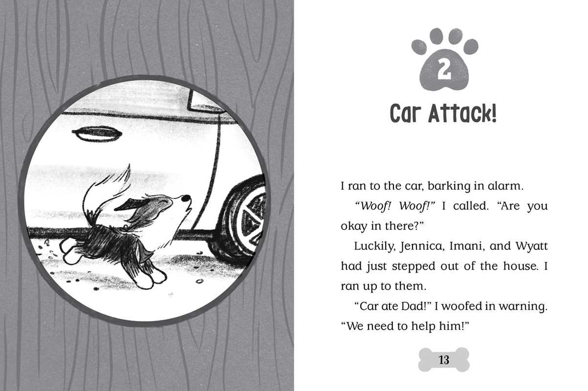 Beach Paws by Cam Higgins: Paperback; 128 pages / English