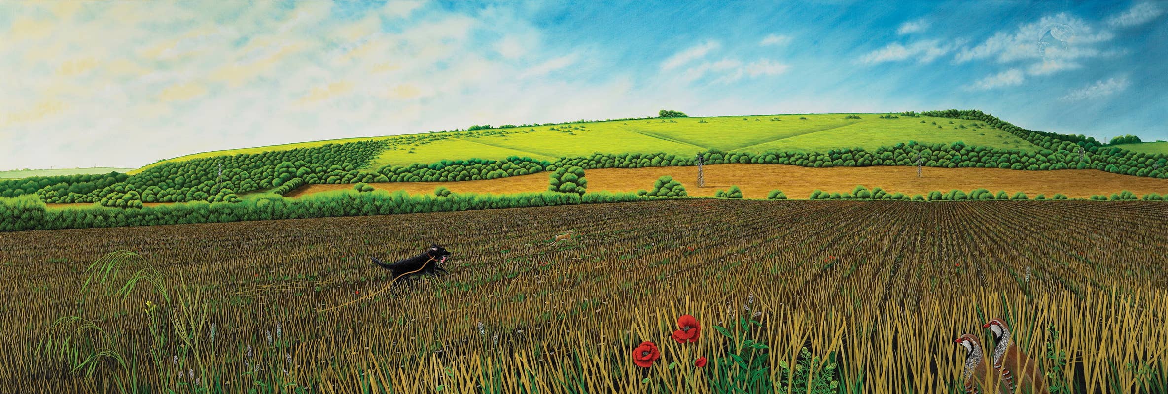 Watership Down by Richard   Adams: Paper Over Board; 496 pages / English