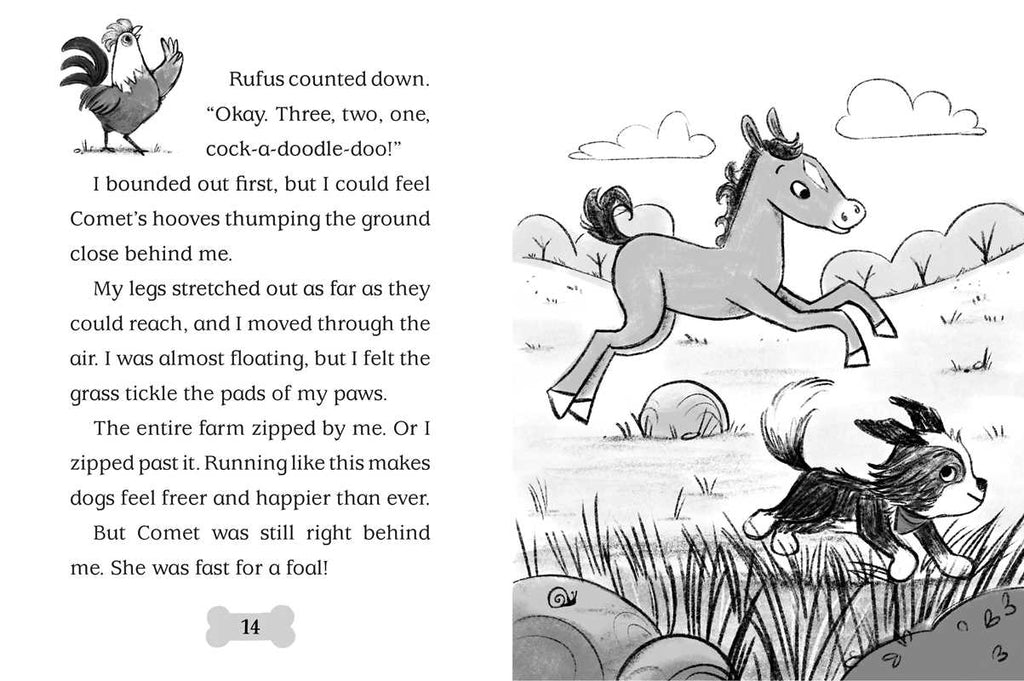 Raised in a Barn by Cam Higgins: Paperback; 128 pages / English