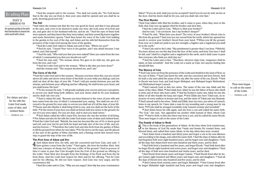 The Hope & Healing Devotional Bible [Dark Sage Doves]