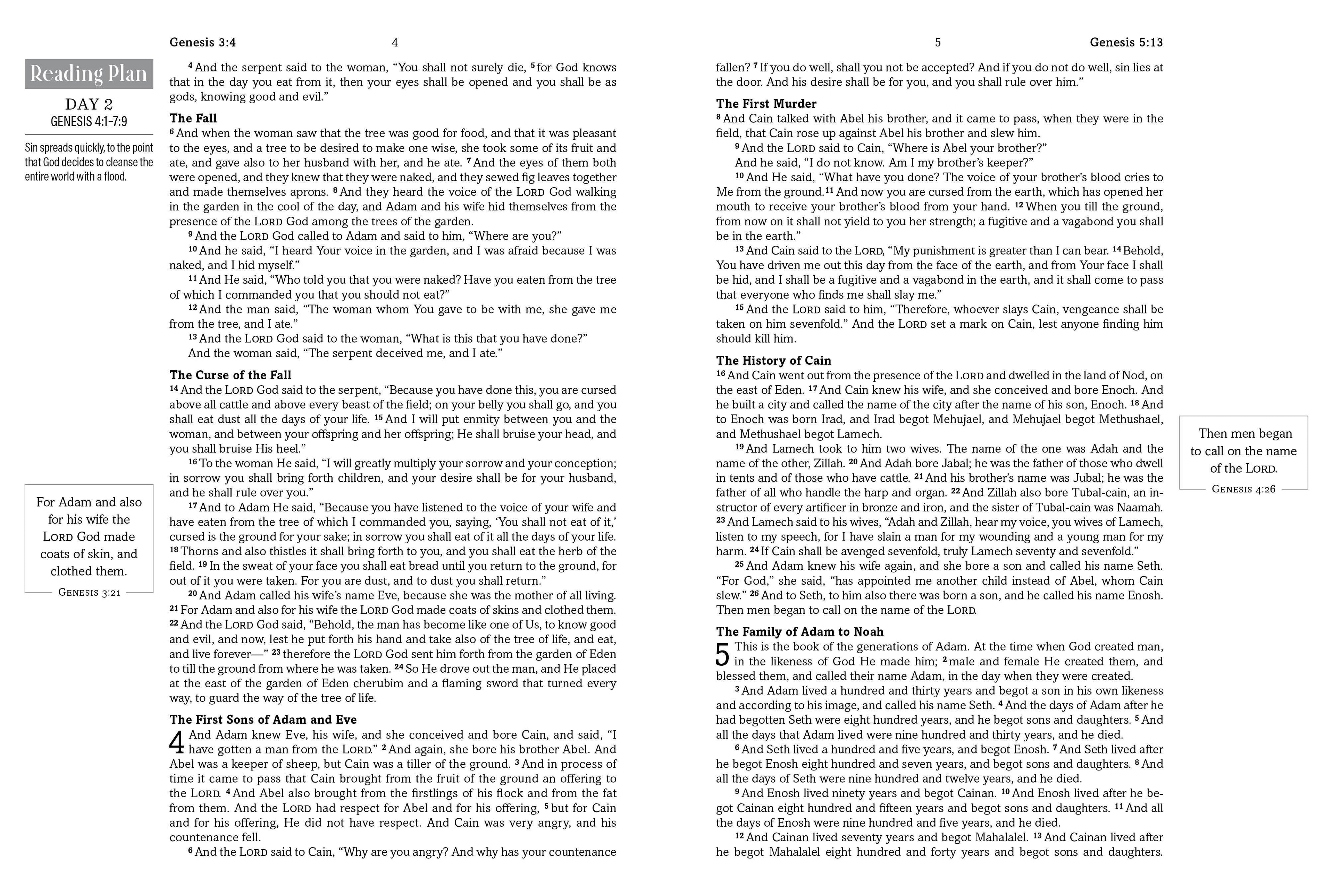The Hope & Healing Devotional Bible [Dark Sage Doves]
