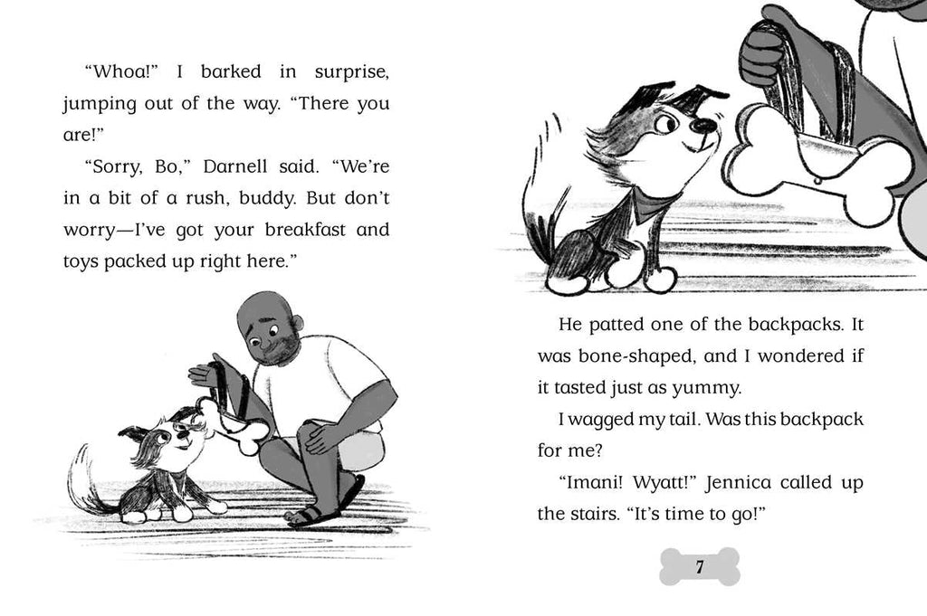 Beach Paws by Cam Higgins: Paperback; 128 pages / English