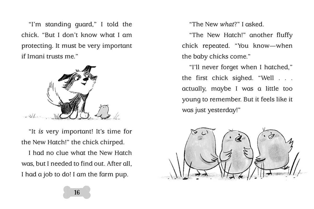 Bo Hatches a Plan by Cam Higgins: Paperback; 128 pages / English