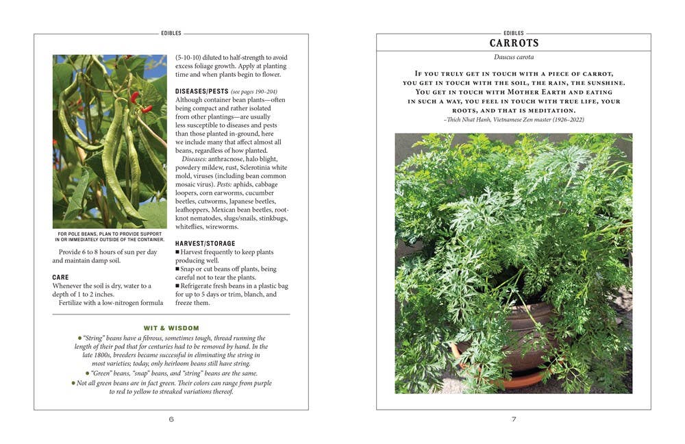 Old Farmer’s Almanac Container Gardener’s Handbook, The: