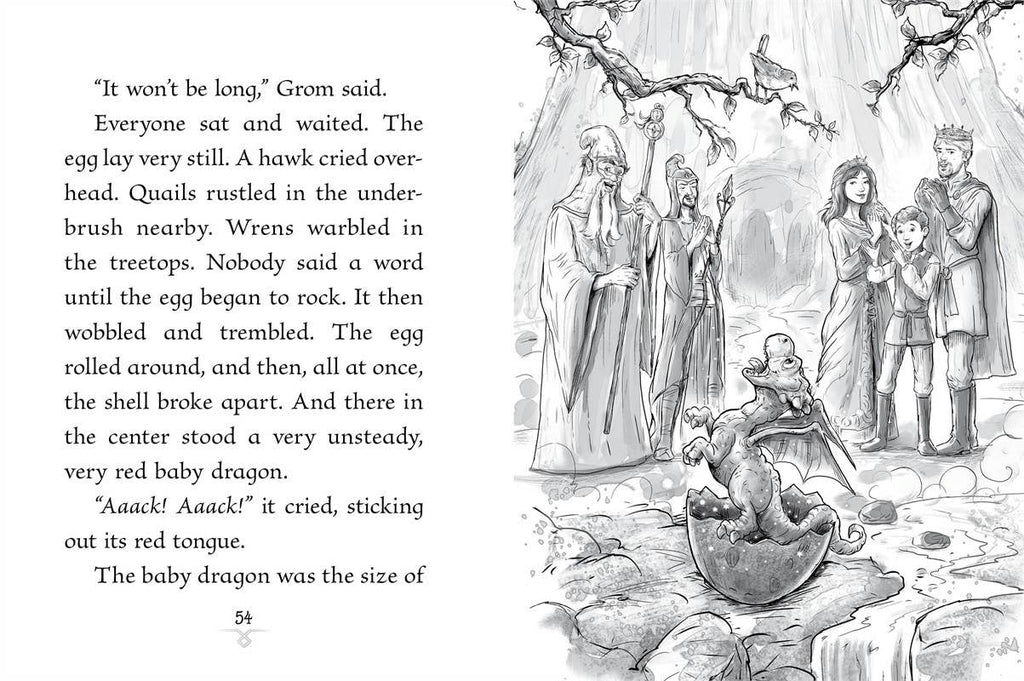 Scarlet Dragon by Jordan Quinn: Paperback; 128 pages / English