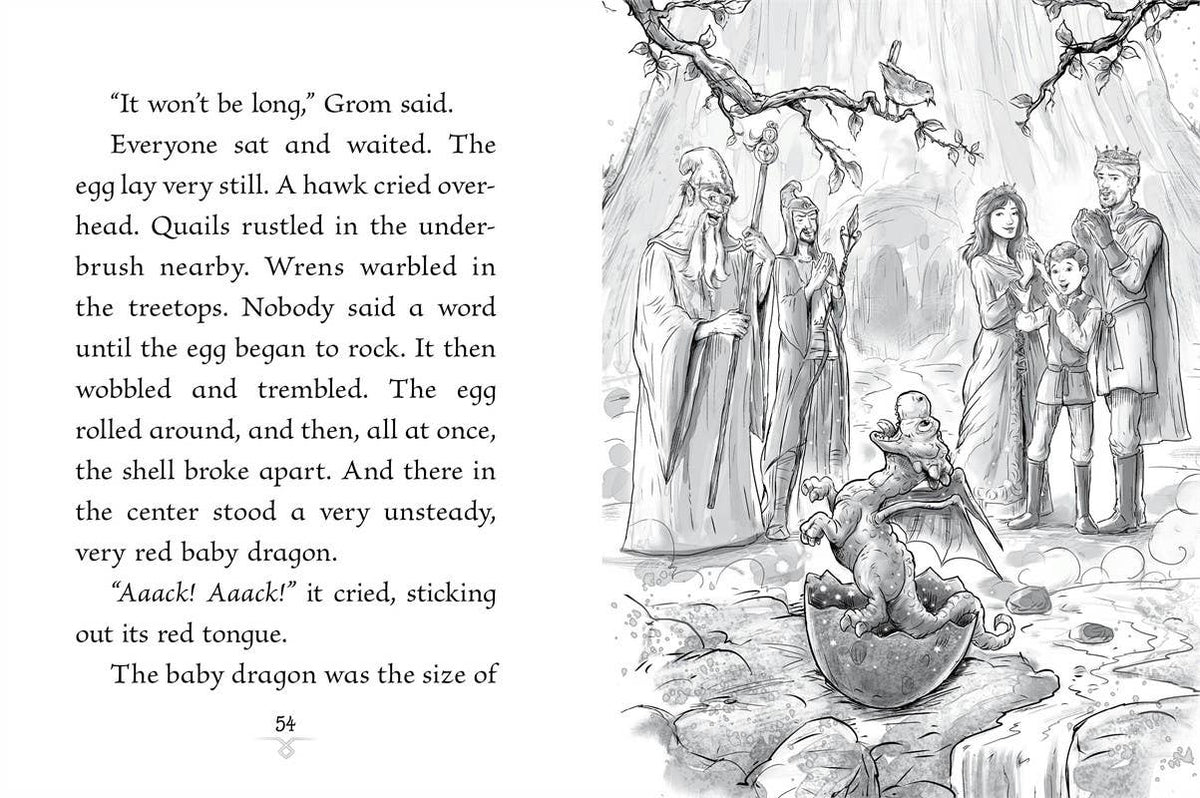 Scarlet Dragon by Jordan Quinn: Paperback; 128 pages / English